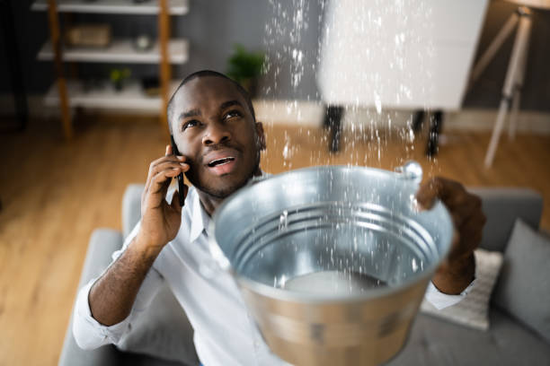 Best Flood restoration services  in Brookfield, NJ