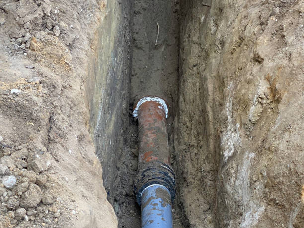 Best Professional water damage repair  in Brookfield, NJ