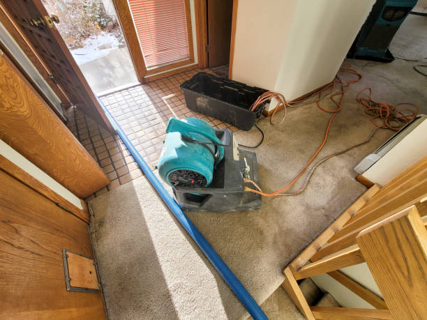 Best Ceiling water damage repair  in Brookfield, NJ