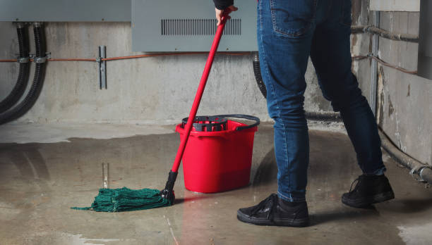 Best Water damage restoration near me  in Brookfield, NJ
