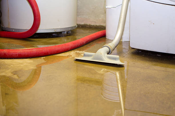 Best Water damage cleanup near me  in Brookfield, NJ