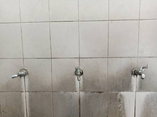 Best 24/7 water damage repair  in Brookfield, NJ