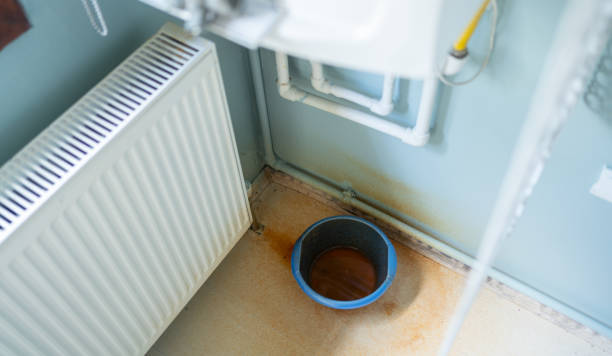 Best Water damage repair service  in Brookfield, NJ