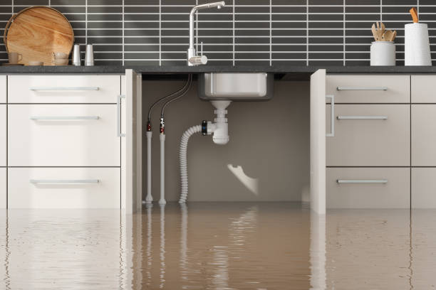Best Water damage contractors near me  in Brookfield, NJ