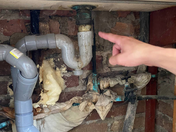 Best Water damage mitigation services  in Brookfield, NJ