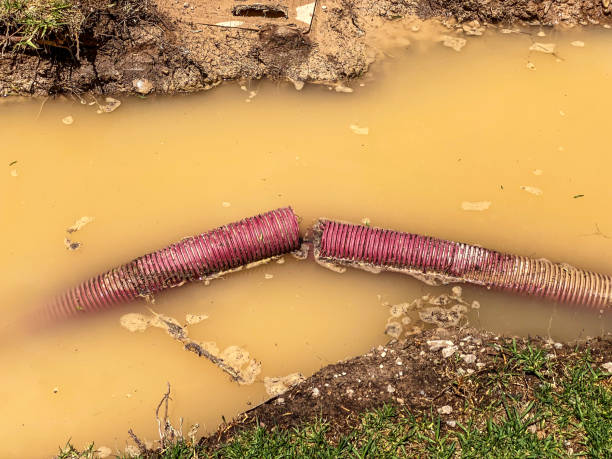 Best Water damage restoration cost  in Brookfield, NJ